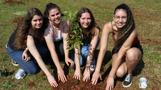 Imagem de quatro jovens agachadas, com as mãos na terra, ao redor de uma muda de árvore recém plantada. Elas estão sorridentes e sob um sol bastante forte.