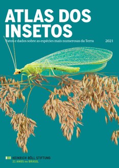 08122021 Lançada publicação sobre importância e desaparecimento dos insetos