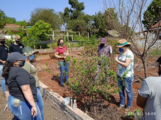 Fotografia mostra oito pessoas ao redor de algumas plantas frutíferas.