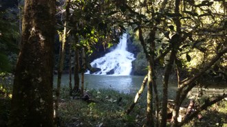 Foto em plano aberto. No primeiro plano observam-se árvores e ao fundo uma cachoeira e um pequeno lago.