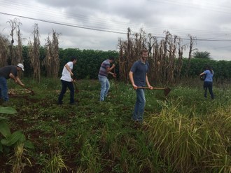 Na imagem cinco pessoas estão trabalhando no cultivo de experimentos que fazem parte da Vitrine Tecnológica de Agroecologia.