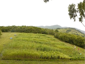 Foto mostra do alto o campo onde foram realizados os experimentos da tese.