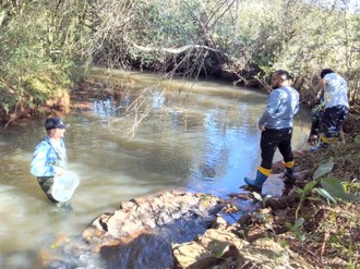 Foto mostra três pesquisadores trabalhando na coleta de peixes.