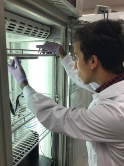 Na foto o estudante David está manuseando a estação de electrospinning laboratorial.