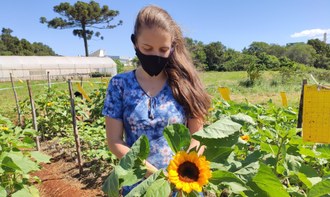 Fotografia mostra uma mulher segurando uma haste de girassol. A mulher está no meio dos canteiros com a plantação de flores.