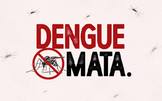 Destaque dengue