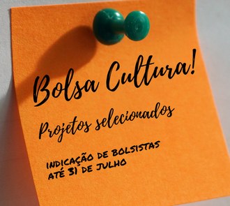 Ilustração bolsa cultura